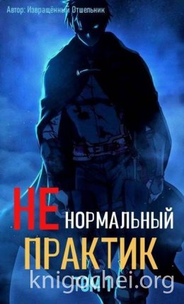 Ненормальный практик 1