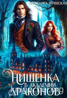 Нищенка в академии драконов