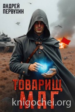 Товарищ маг