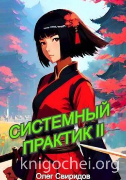Системный практик II