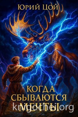 Когда сбываются мечты