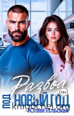 Развод под новый год