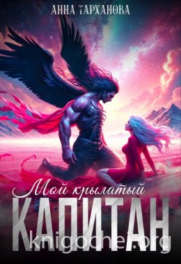 Мой крылатый капитан