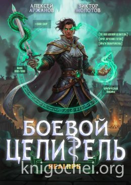 Класс: Боевой Целитель. Том 3