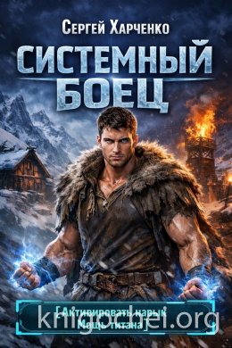 Системный Боец