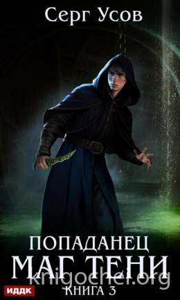 Попаданец. Маг Тени. Книга 3