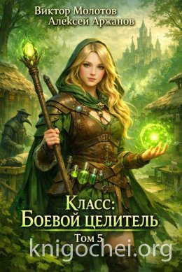 Класс: Боевой Целитель. Том 5