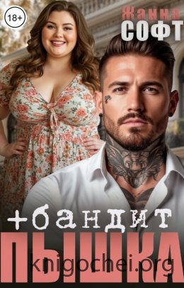 Пышка плюс бандит