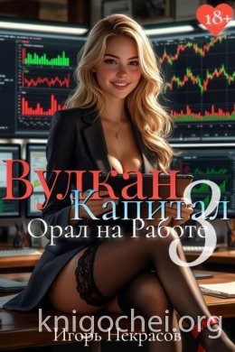 Вулкан Капитал: Орал на Работе 3