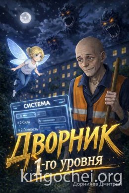 Дворник 1-го уровня. Том 1