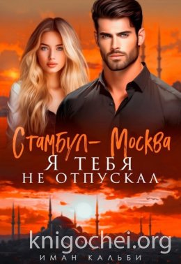 Стамбул-Москва. Я тебя не отпускал