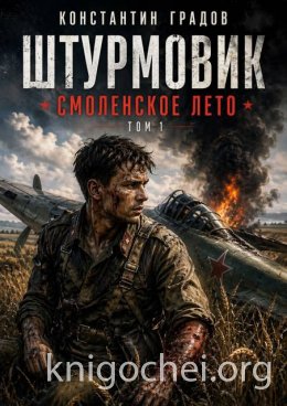 Штурмовик. Смоленское лето