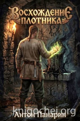 Восхождение Плотника. Том 4