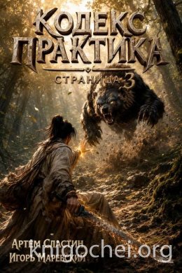 Кодекс Практика: Страница 3
