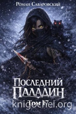 Последний Паладин. Том 17