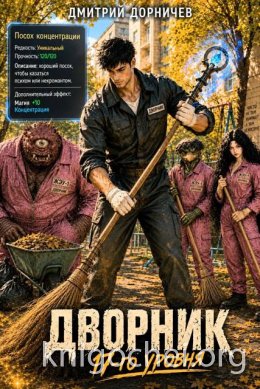 Дворник 17-го уровня. Том 7
