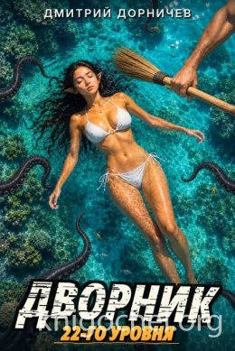 Дворник 22-го уровня. Том 9