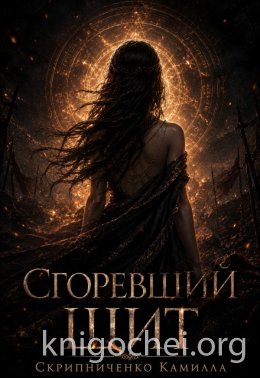 Сгоревший щит