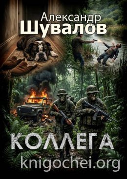 Коллега