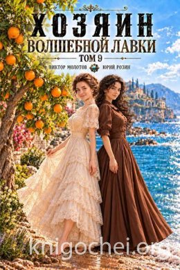 Хозяин Волшебной Лавки. Том 9